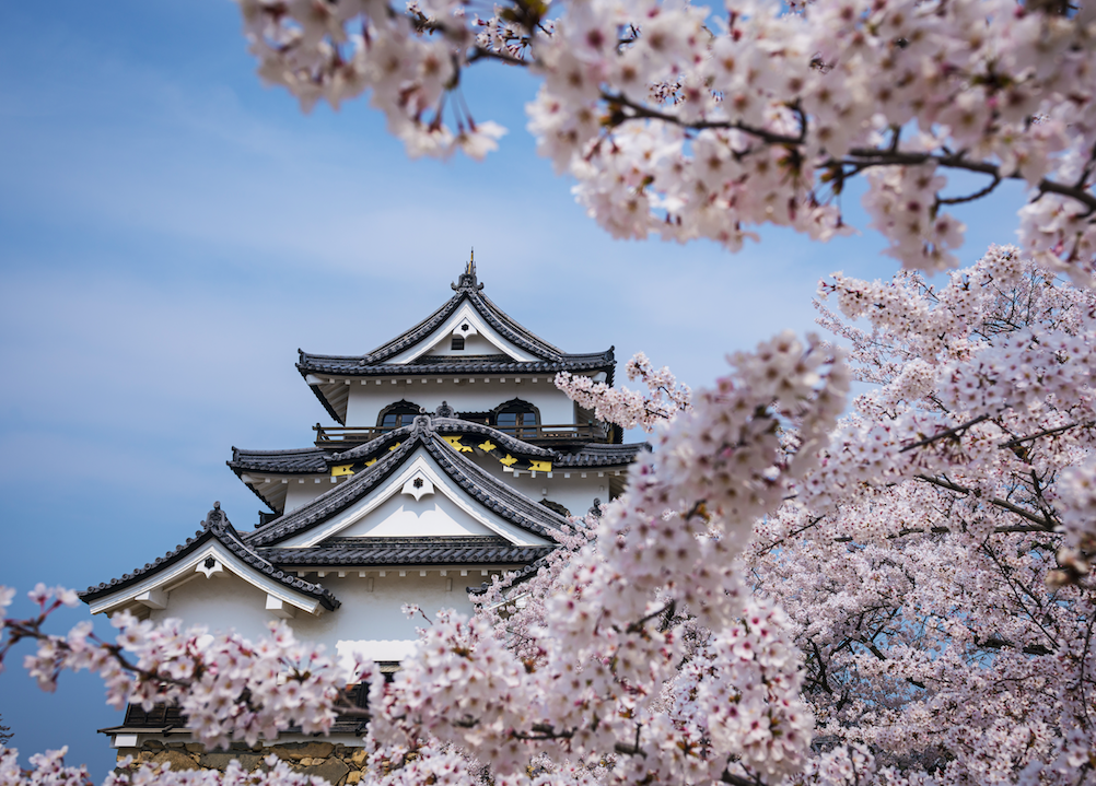 Planning a Japan Tour