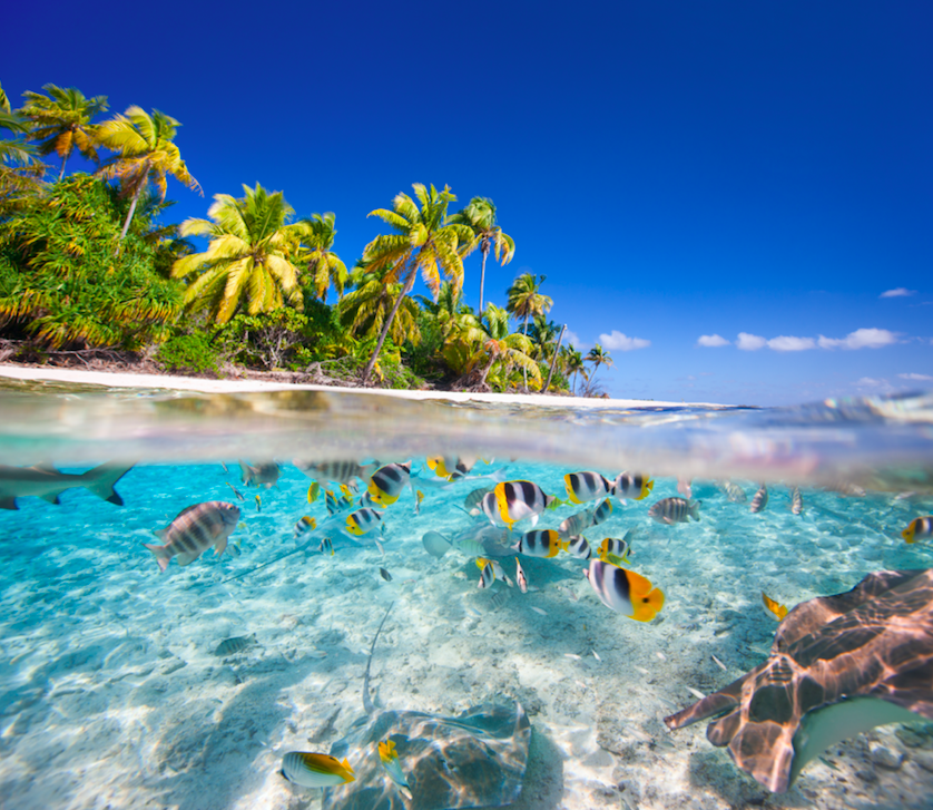 Self Catering Seychelles