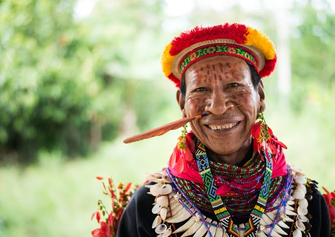 Whisper of the Jungle