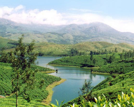 Captivating Kerala