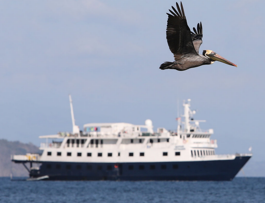 UnCruise Costa Rica and Panama