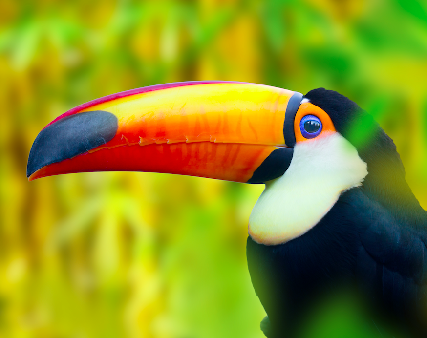 Top Places to see in Nicaragua