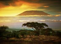 Safari & Beach: 