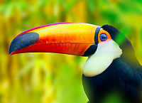 Top Places to see in Nicaragua