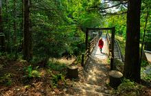 Active Japan - 18 nights