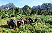 Add Khao Sok
