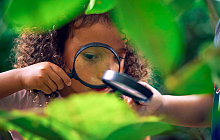 Borneo Family Holiday