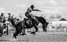 Calgary Stampede and the Rockies