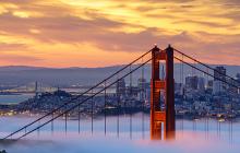 California Sunshine & Vegas Lights