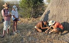 City, Coast, Desert & Delta