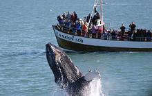 Classic Iceland Self Drive