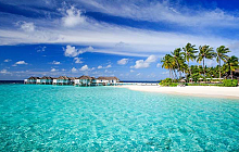 Dubai & The Maldives