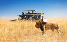 Dubai, Kenya & Mauritius