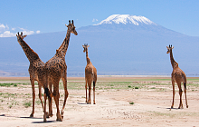 Dubai, Kenya & Mauritius