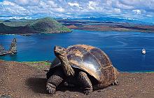 Ecuador and Galapagos Land Based