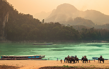 Four Country Asia Honeymoon