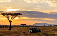 Kenya Safari & Zanzibar