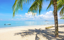 Kuala Lumpur & Penang