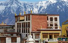 Ladakh Village Experience