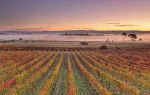 Luxury Portugal Journey