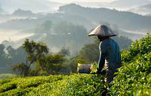 Malaysia Three Centre