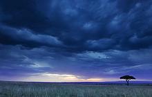 Masai Mara Discovery