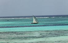 Mountain Gorillas & Zanzibar Honeymoon