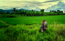 Mountains & Hilltribes