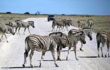 Namibia Self Drive Holiday