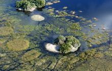 Okavango Delta & Linyanti Taste of Botswana