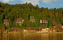 Orang Utans & Gaya Island