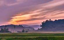 Sabah Nature & Wildlife