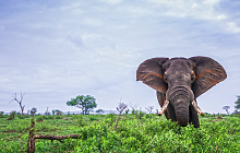 South Africa & Seychelles