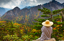 South Korea Panorama