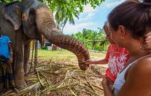 Superior Hotels