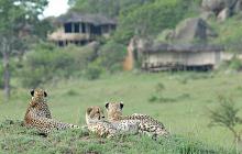 Tanzania Safari in Style