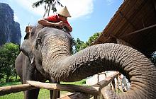 Thailand Family Adventure