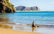 The Galapagos & Colombia in Luxury