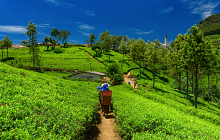 Twin Centre Sri Lanka