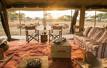 Ultimate Africa Wildlife Honeymoon