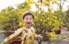 Vietnam Highlights Tour