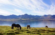 Whales, Waterfalls & Geysers