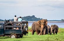 Yala & Unawatuna