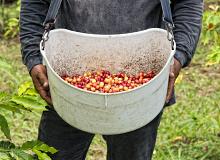 Colombia Explorer: Mountains, Medellín & Beaches