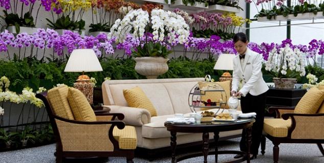Afternoon Tea at Orchid Conservatory