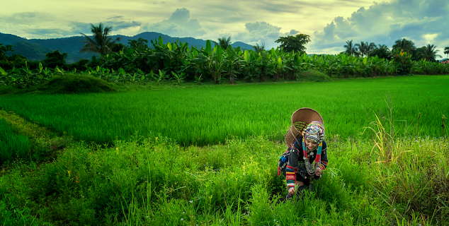 Akha girl, northern Laos