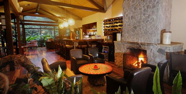Bar and Fireplace