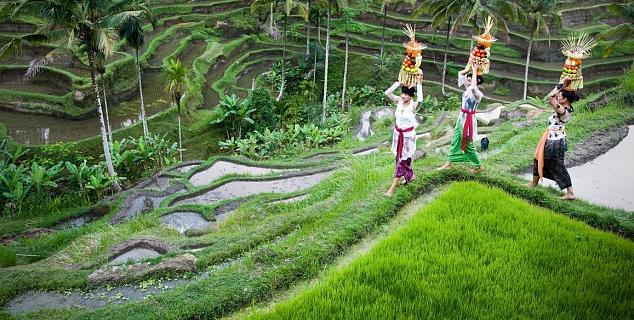 Beautiful Ubud