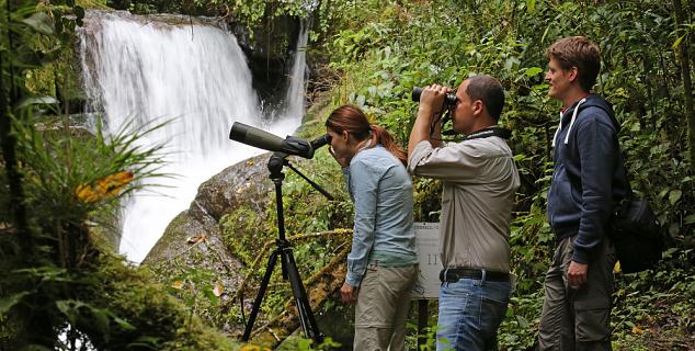 Birding Excursion