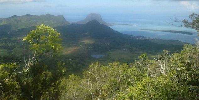 Black River Mountain Walk